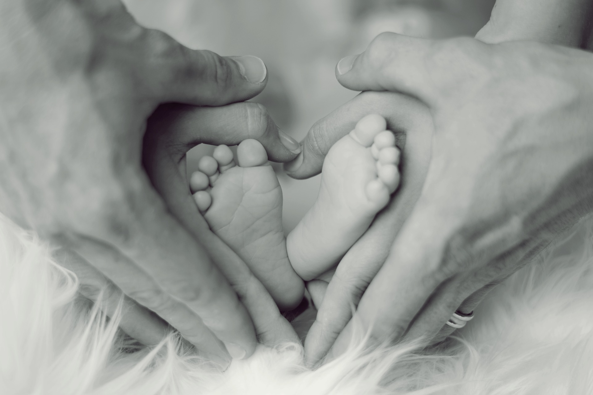 Parents' hands in a heart shape around a baby's feet