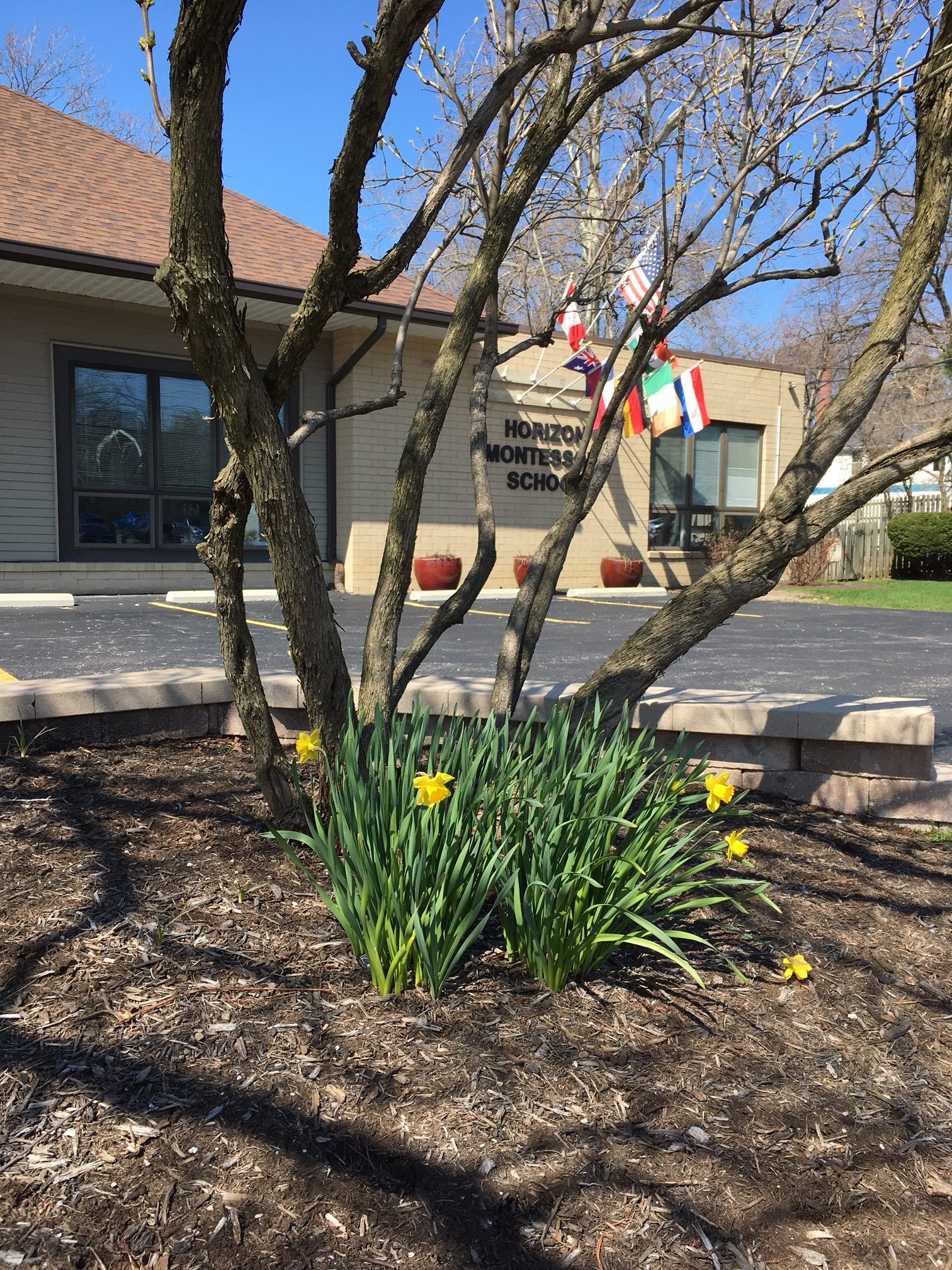 A photo of Horizon Montessori on a clear spring day