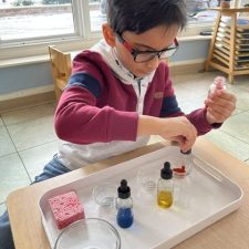 Morning class dyes & droppers